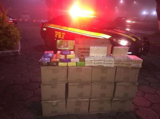Droga apreendida pela PRF (Foto: Divulgação PRF)