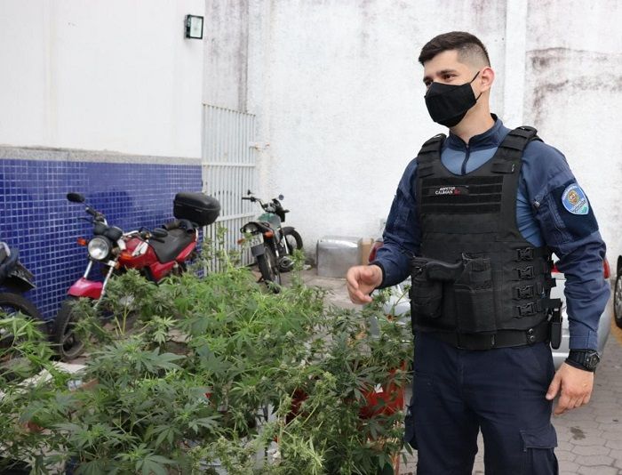 Caliman explicou que os pássaros silvestres são da espécie coleiro (Foto: Taynara Nascimento)
