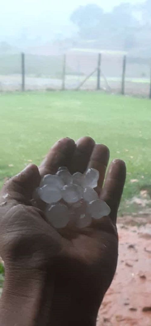 Moradora segura pedras de gelo (Foto: Rafaela Braun)