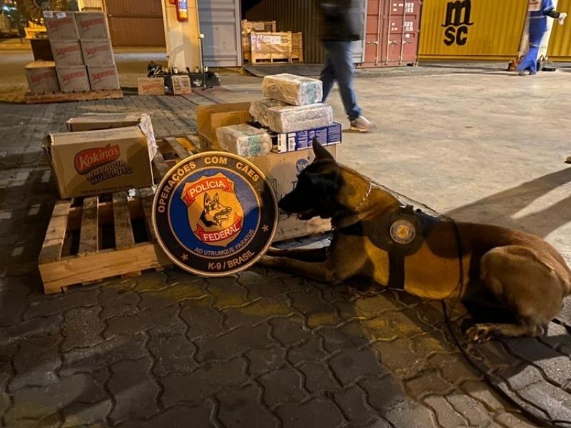 Polícia faz a maior apreensão de cocaína da história do Rio de Janeiro (Foto: Divulgação Polícia Federal)